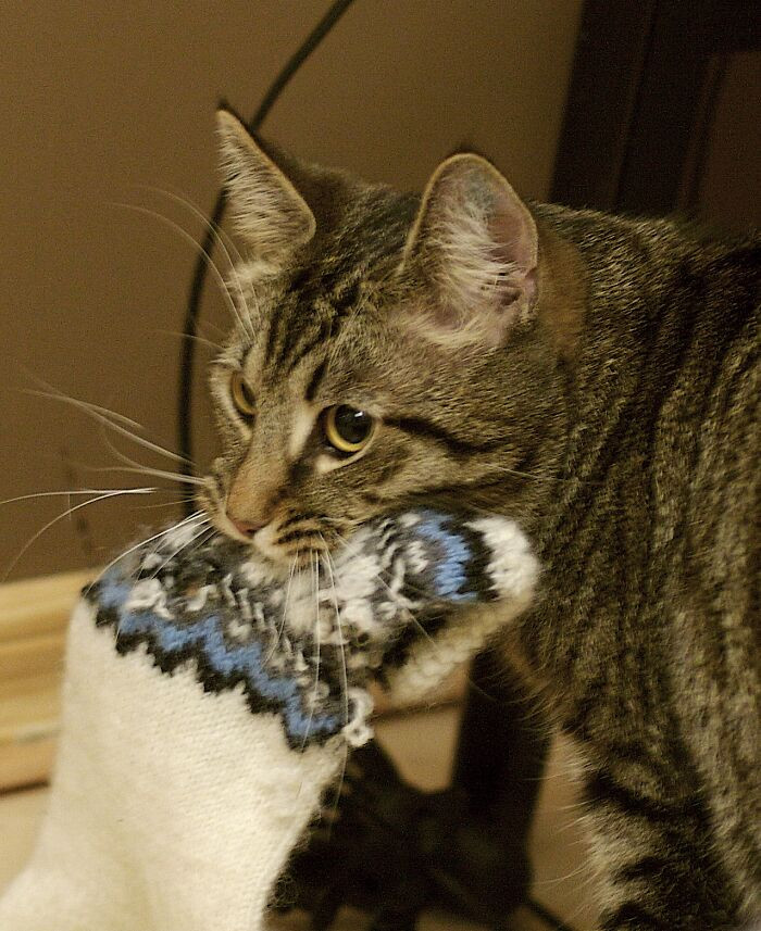 16. Dirty Laundry in Exchange for Praise