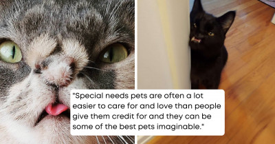 Kitty With Peculiar Face Finds Her Forever Home In A Shelter Employee With A Soft Spot For Special Needs