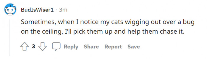 The pet owner understood the assignment