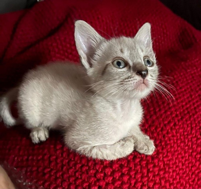 And it looks like she's doing better than ever!