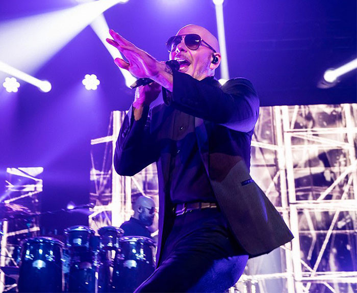 6. Pitbull