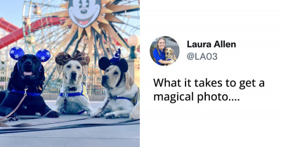 10+ Tweets That Prove How Far People Would Go Just To Make Their Pets Happy And We're All Melting With Wholesomeness