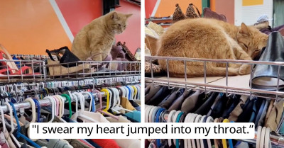 Woman Thought She Spotted A 'Vintage Fur Hat' In Thrift Shop, But It Ended Up Being Even Better