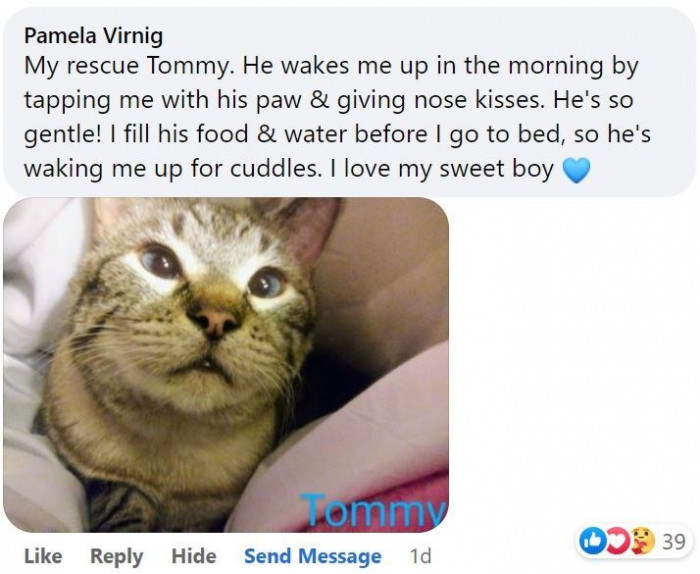 8. Tommy wakes me up for cuddles by tapping me with his paw, and I just love my sweet boy