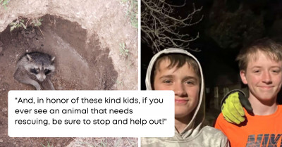Brave Kids Come To The Rescue Of A Raccoon Who Was Trapped In A Hole