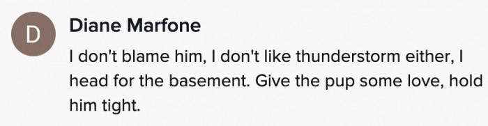 See? Even people get scared of thunder.