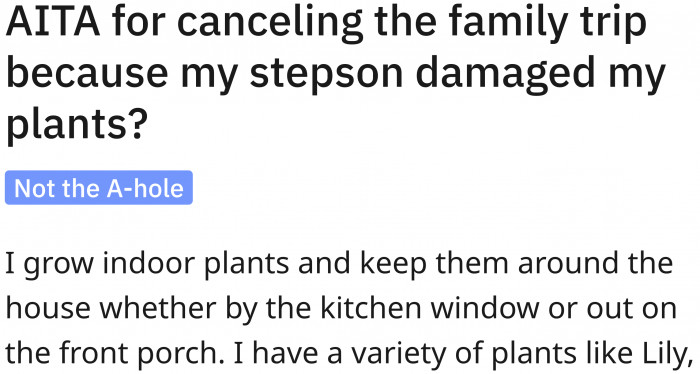 The original poster's hobby.