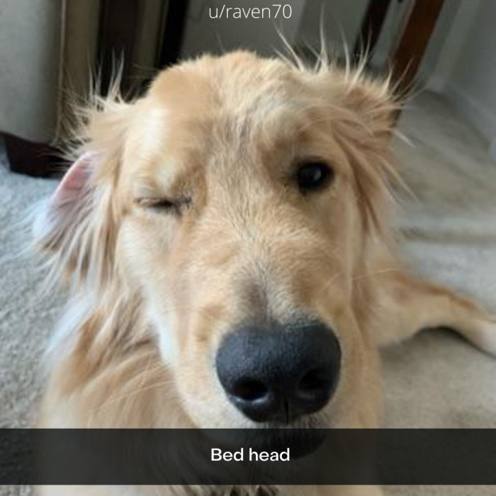 13. Pawsitively adorable.
