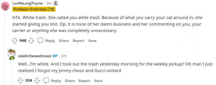 Instead of fighting back, the lady with the cat carrier should have flaunted more things.