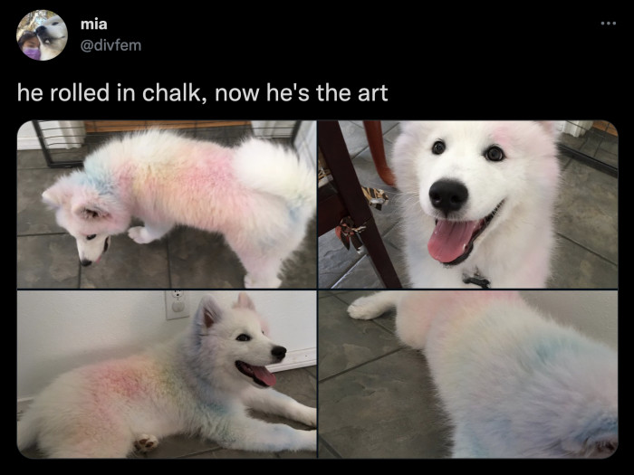 16. The artist formerly known as good boy. He now only drinks sparkling water with his lamb chops.