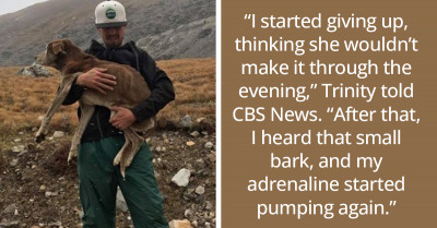 Hikers Hear A Dog Crying And Hurry To The Scene - They Save A Dog That’s Been Stranded For Six Weeks