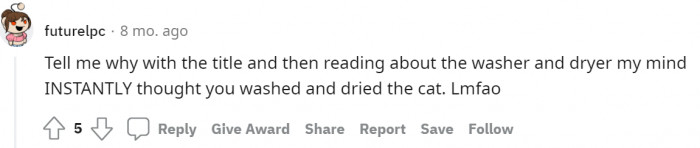 #17 Did she wash and dry the cat?