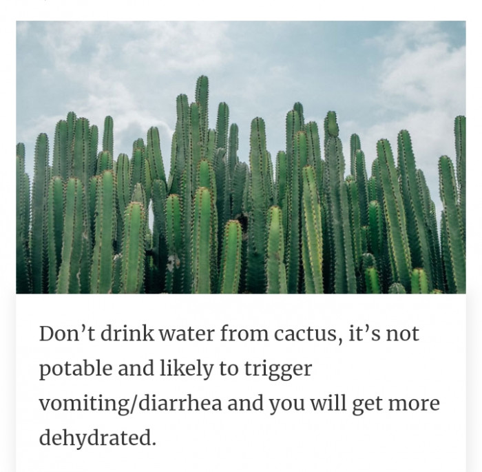 #9 Cactus will make it worse.