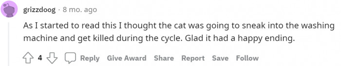 #16 Thought the cat was killed.