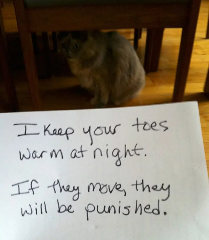 8. If they move, they will be punished.