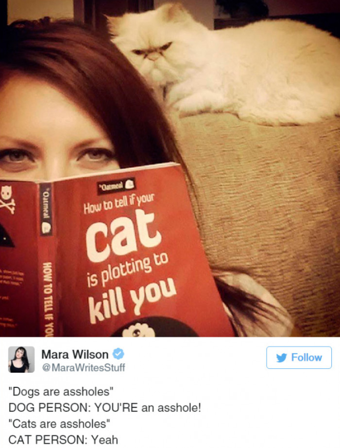 32 Tweets Show That Life Is Full Of Fun And Hilarity When You Live With Cats