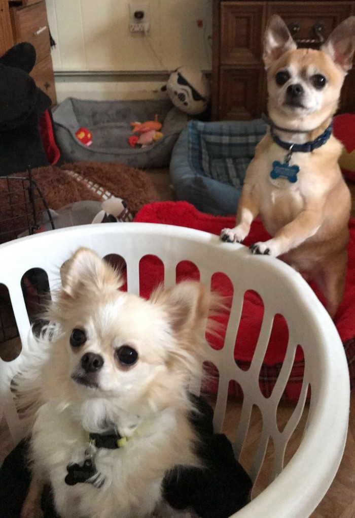 9. Twice the fun, twice the adorableness!