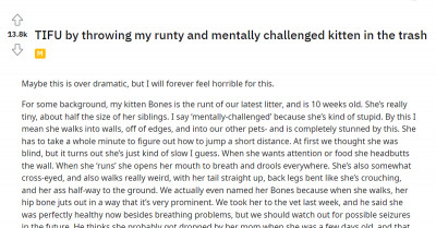 Cat Owner Feels Guilty Over Accidentally Throwing Her Tiny, Mentally Challenged Kitten In The Garbage