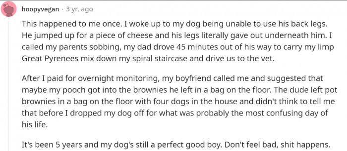 This user’s boyfriend left spiked brownies on the floor in a house with four dogs. Wonder if they are still together...