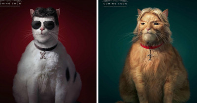 Photographer and Digital Artist Made a Hilarious Transformation of Cats into Celebrities