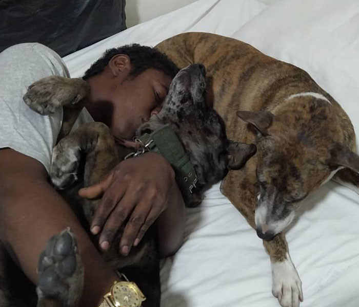 A little help can surely go a long way for these pets