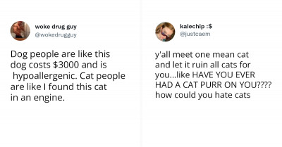 15 Hilarious Tweets About Cat People And Dog People That Are So True