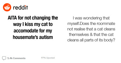 Reddit's Response To A Female Cat Owner Who Is Bothered About A Fight With Her Best Friend Over The Way She Kisses Her Pet