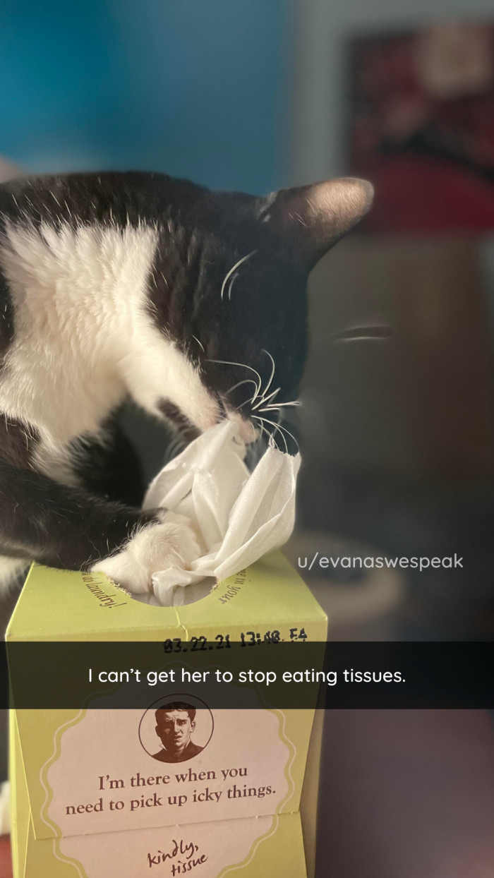 16. Do you think they cronch for her?