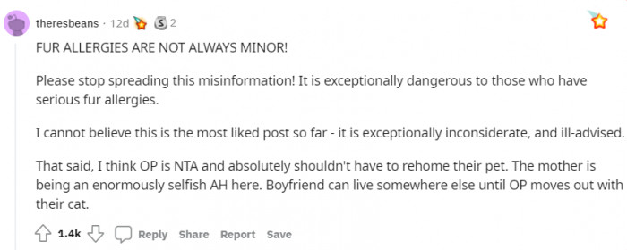 Even those who are aware of fur allergies are on the original poster's side.