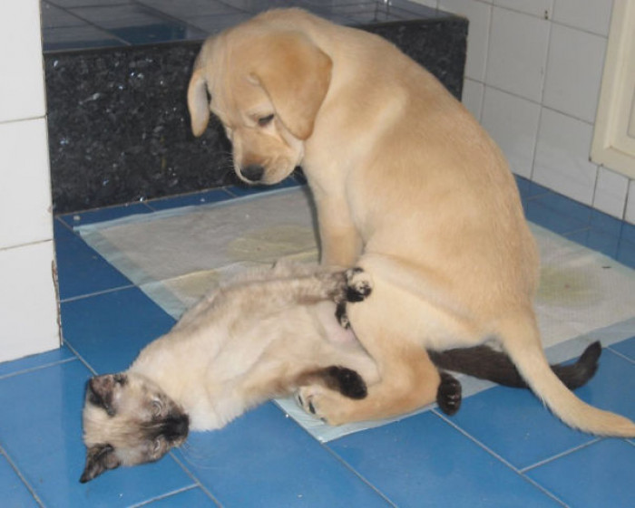 17. You want a massage? You got it!