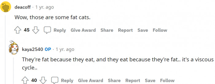 The cats are both fat.