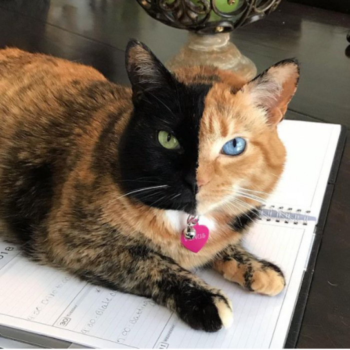 22. Mother Nature never ceases to amaze us with her creations