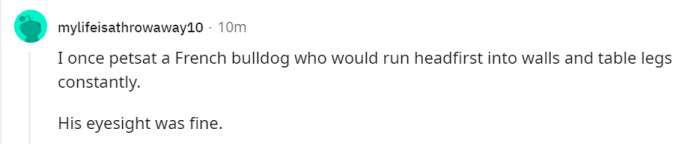 9. Running into walls is fun, apparently.
