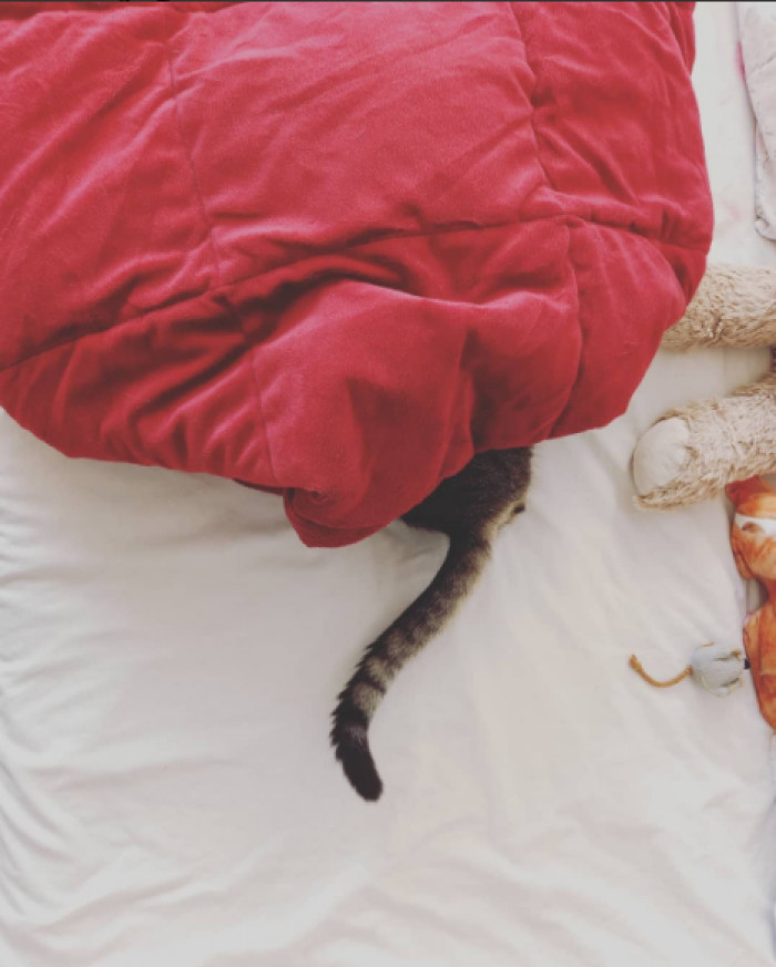 Stuck under the blankets.