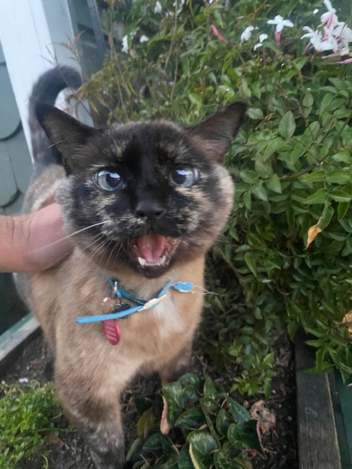 13. Here is my newest friend