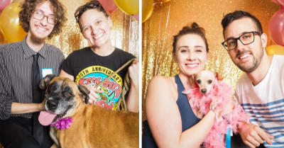 Animal Shelter Hosts Senior Prom to Aid Elderly Dogs Find a Loving Forever Home
