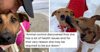 Traumatized And Sickly Dog On Death Row Transforms Beautifully After She Was Adopted By This Angel Of A Woman
