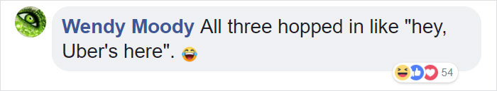 Group of animals with dog, hopeful crowd reaction as companions return.