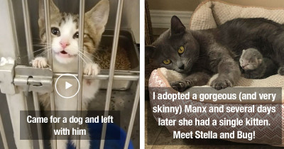 Wonderful Rescue Pet Photos That Show How Important It Is To Adopt And Not Shop