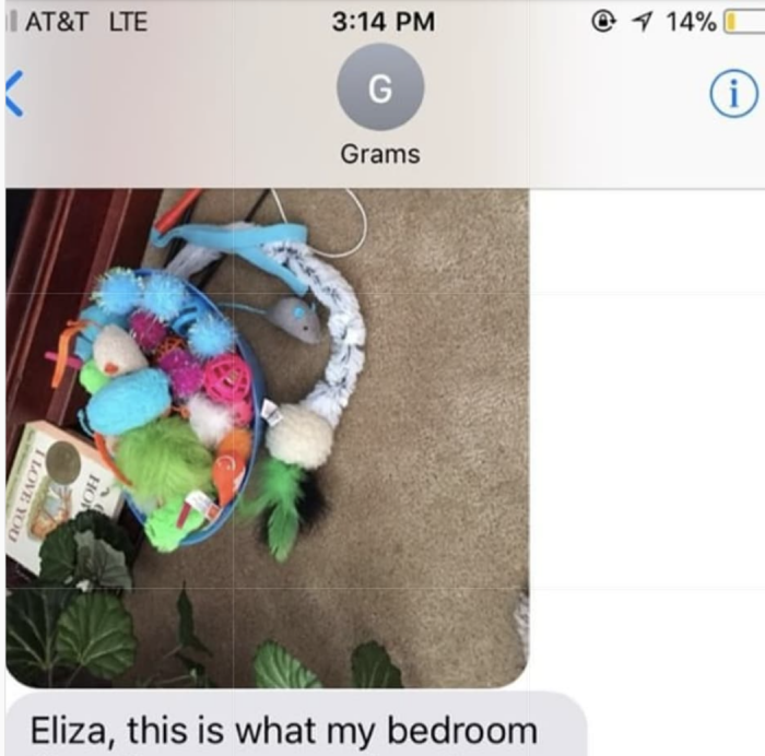 She sent a picture of all of Fern's toys...