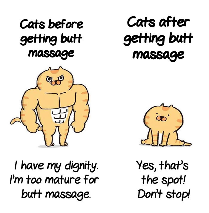 Cats and butt massages