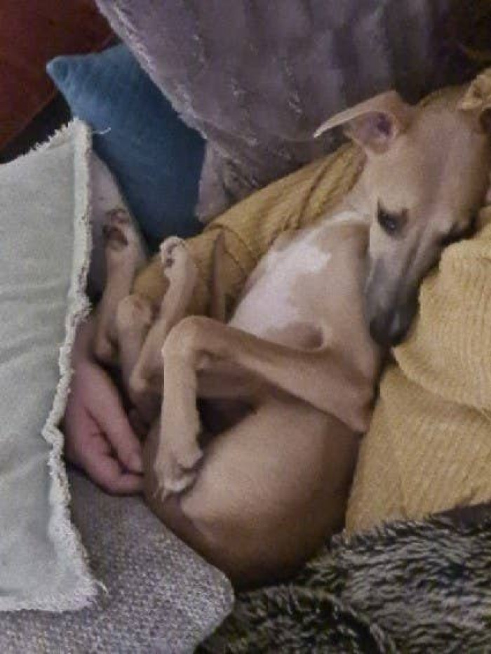 9. Sleeping is good: