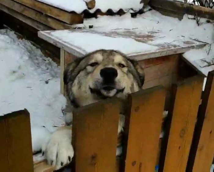 14. "Hey there, buddy!"