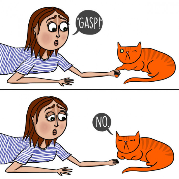 1. Attempting to hold hands with your kitty even though they never seem to like it.
