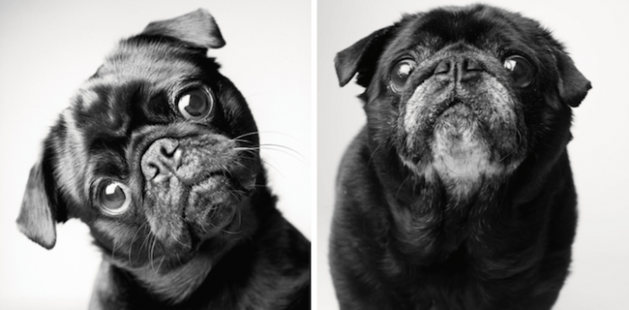 1. Fred, 2 years and 10 years.