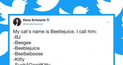 People Prove How Weird Humans Are By Revealing The Nicknames They Have For Their Pets