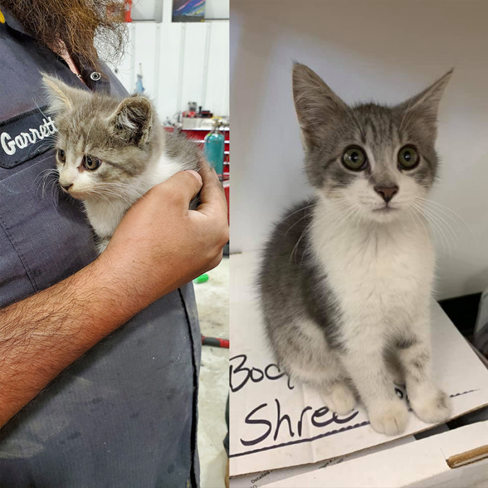 He's very friendly to the people who get their cars serviced.