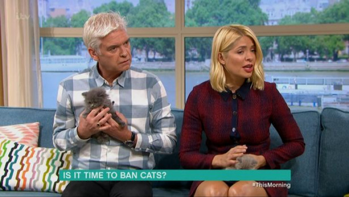 UK cat protest crowd holding signs against banning cats proposal