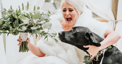 This Bride Had the Jitters Before the Ceremony, So She Called for Her Dog, and It Made the Pictures Go Viral Instantly