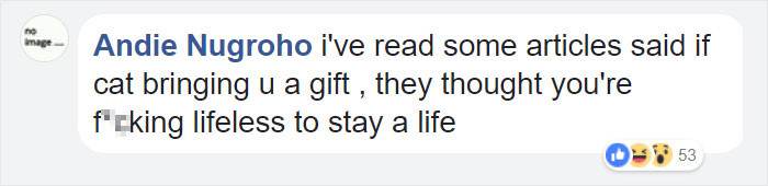 Willow reviewing video footage, surprised expression after unexpected visitor appears